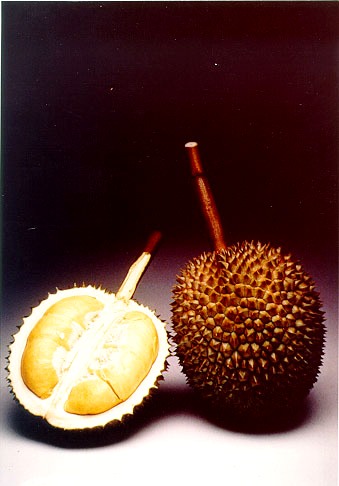 Durian Kan Yao